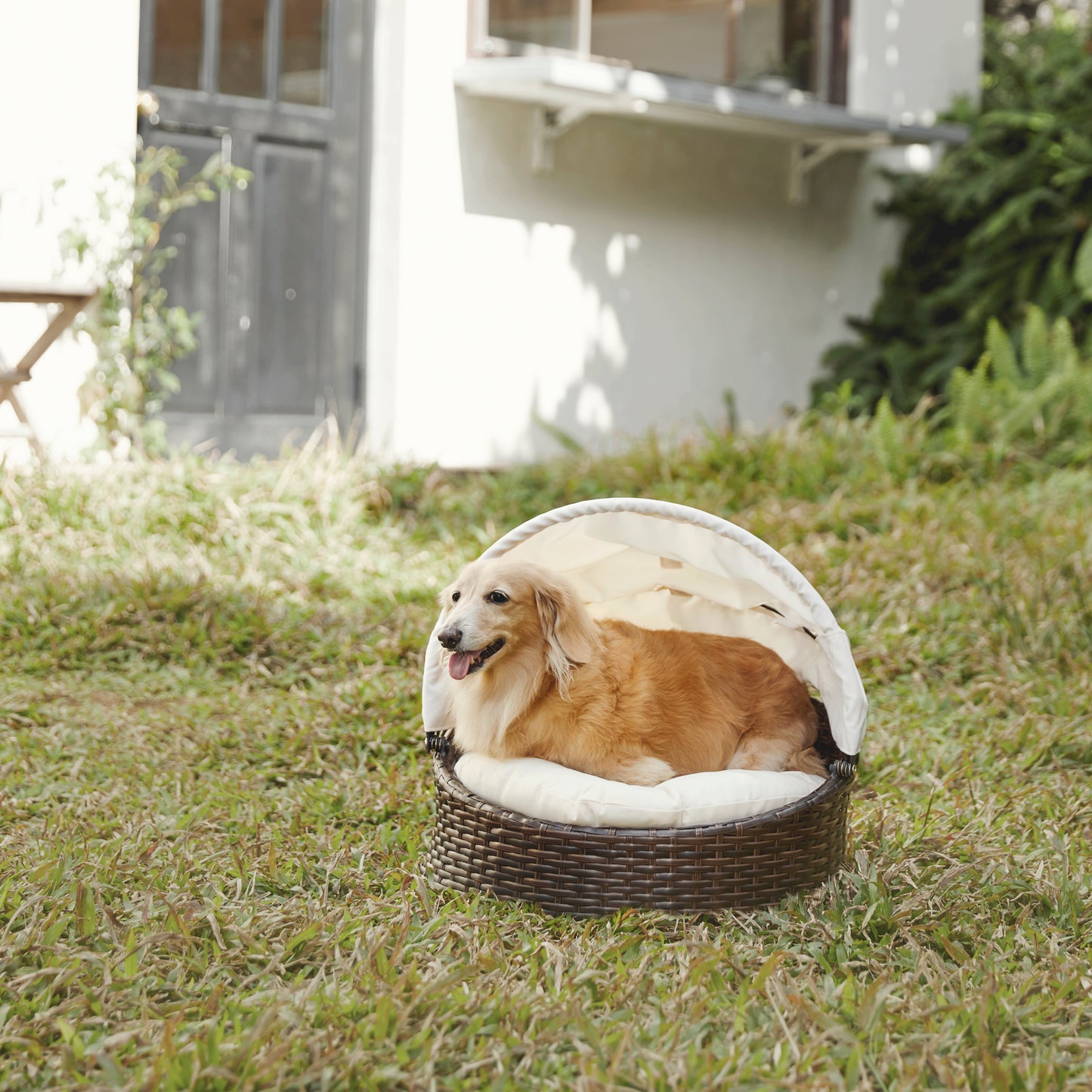 Teamson Pets Woven Round Dog or Cat Bed & Cushion